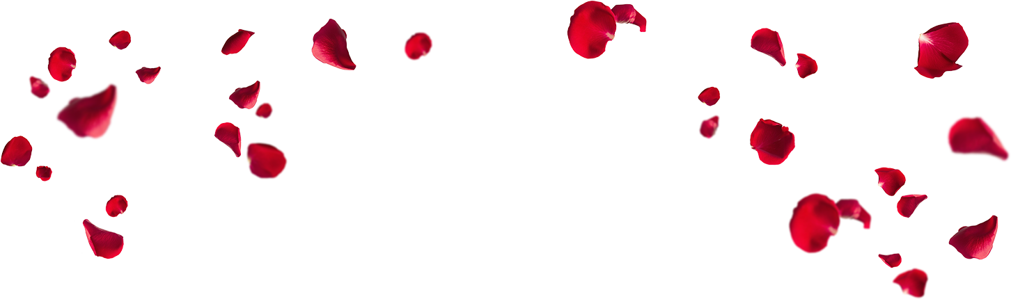 Petals